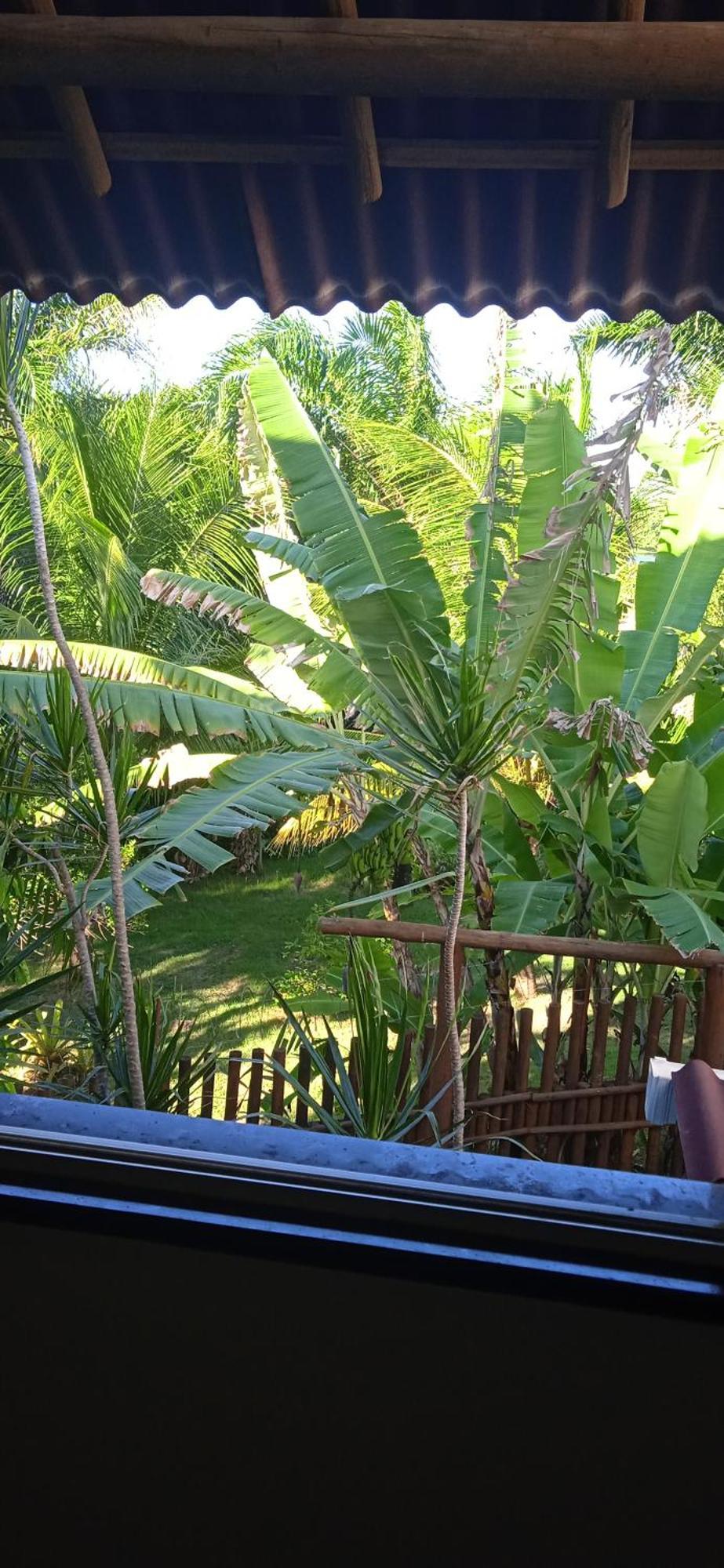 Morada Pantanal Apartment *